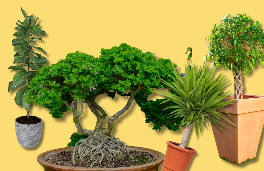 transport roślin w Białymstoku i okolicach